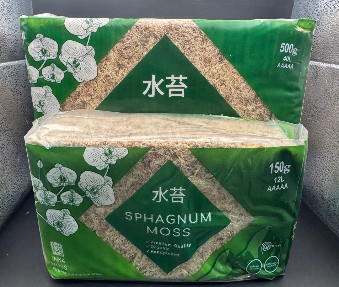 【12L】【ハイグレード】ペルー産水苔AAAAAランク 150g