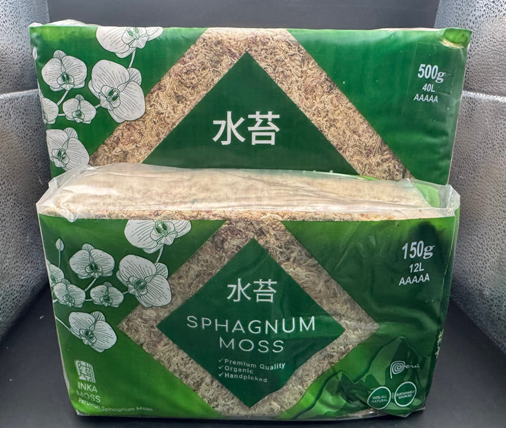 【12L】【ハイグレード】ペルー産水苔AAAAAランク 150g