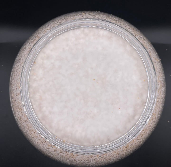 【KPWオリジナル】オオヒラタケ菌糸ボトル 2300cc