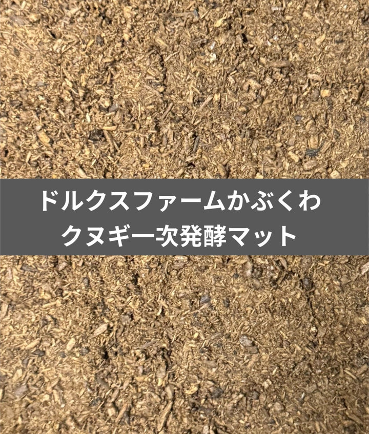 クヌギ一次発酵 5L