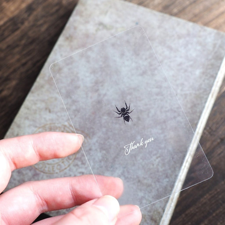 Thank you クリアカード 5枚入り（アダンソンハエトリ）