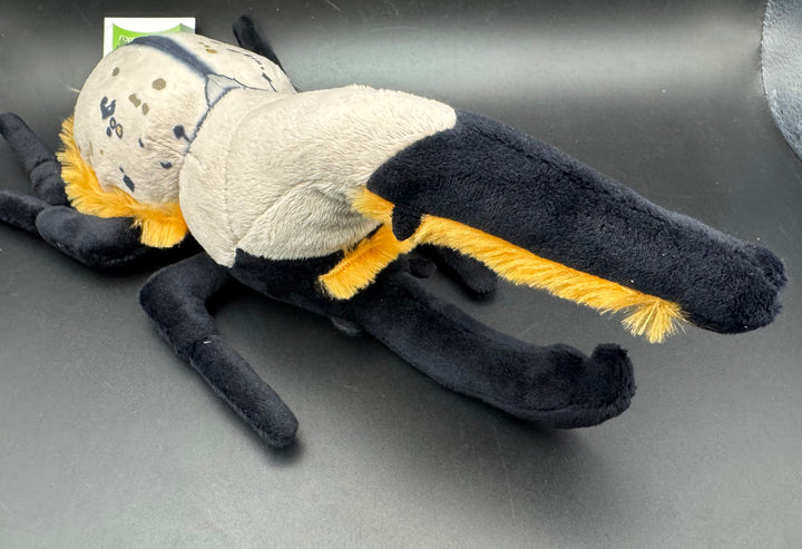 わくわく図鑑 グラントシロカブトぬいぐるみ中