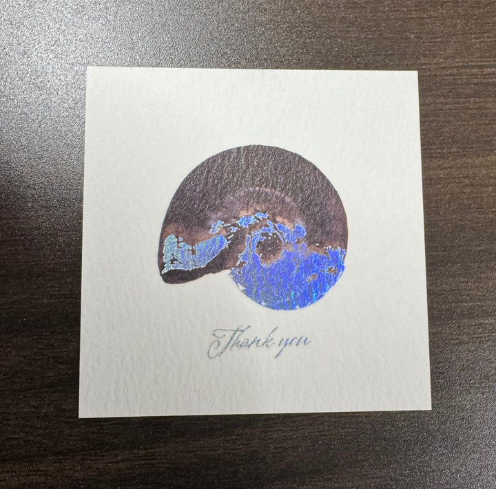 Thank you カード 5枚入り（アンモナイト）