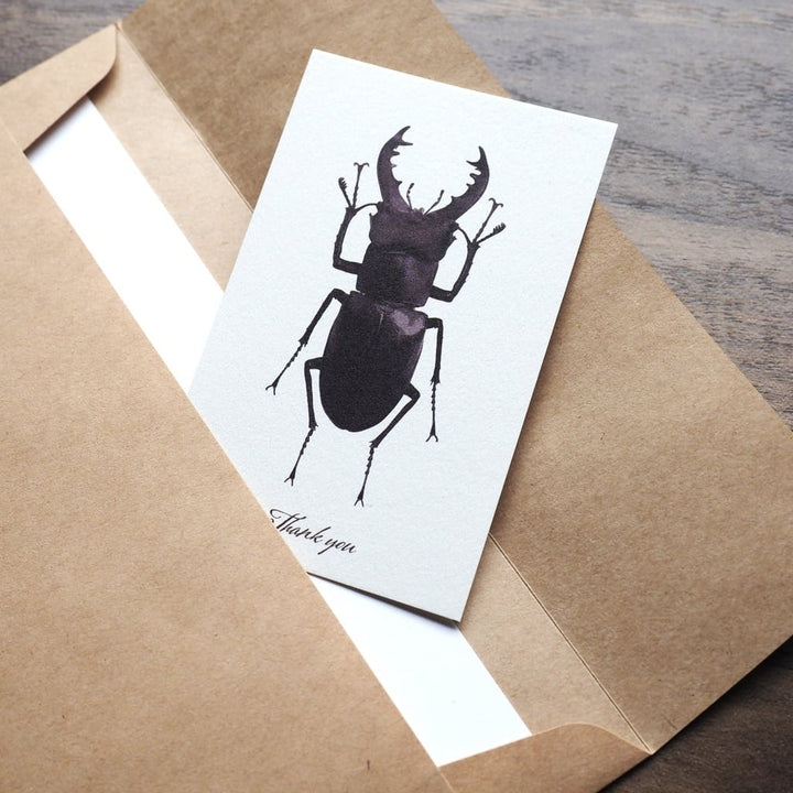 Thank you カード 5枚入り（ミヤマクワガタ）