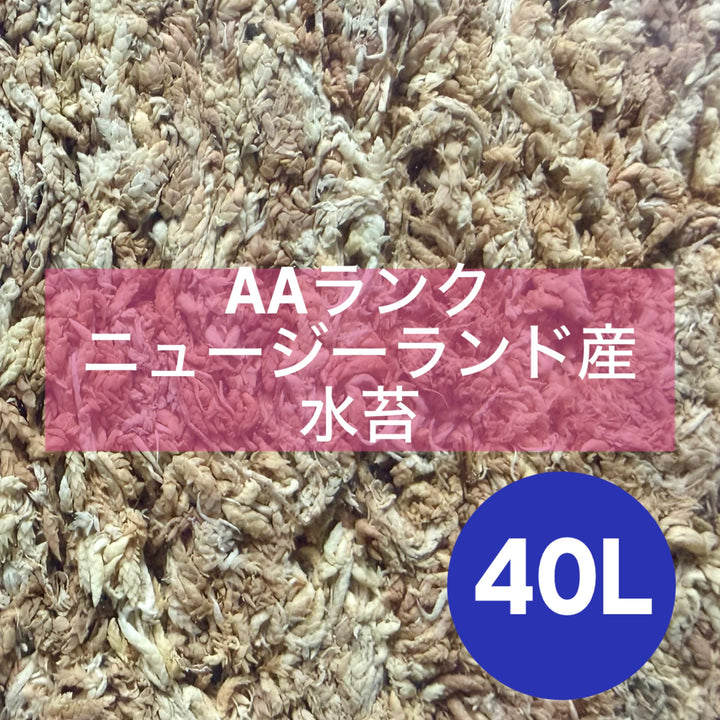 【40L】ニュージーランド産水苔AAランク 500g