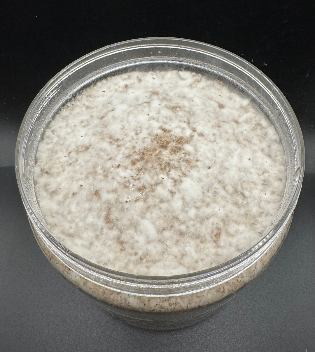 大夢Kブナ カワラ 1400cc