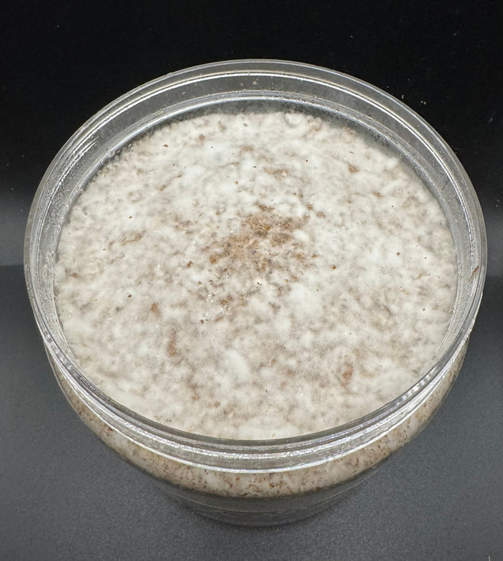 大夢Kブナ カワラ 1400cc