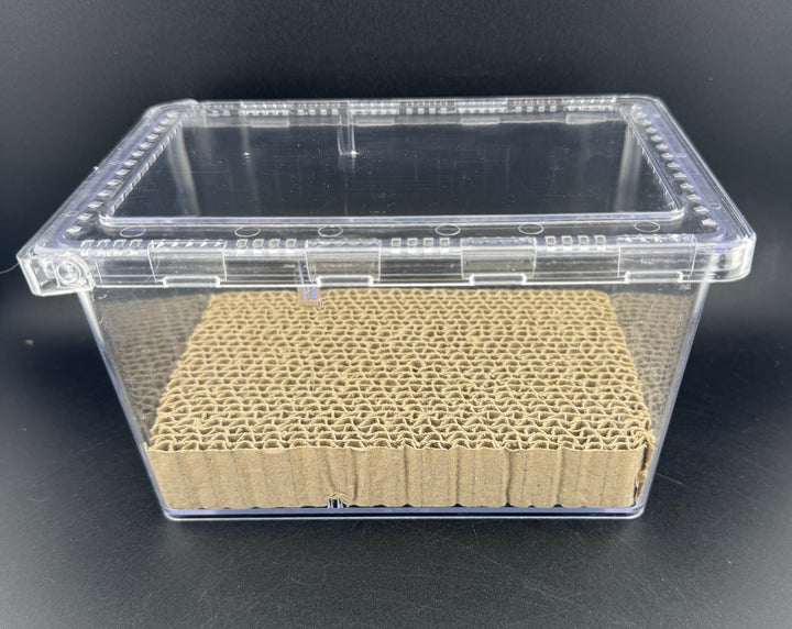 【ペアリング用】お見合いケース