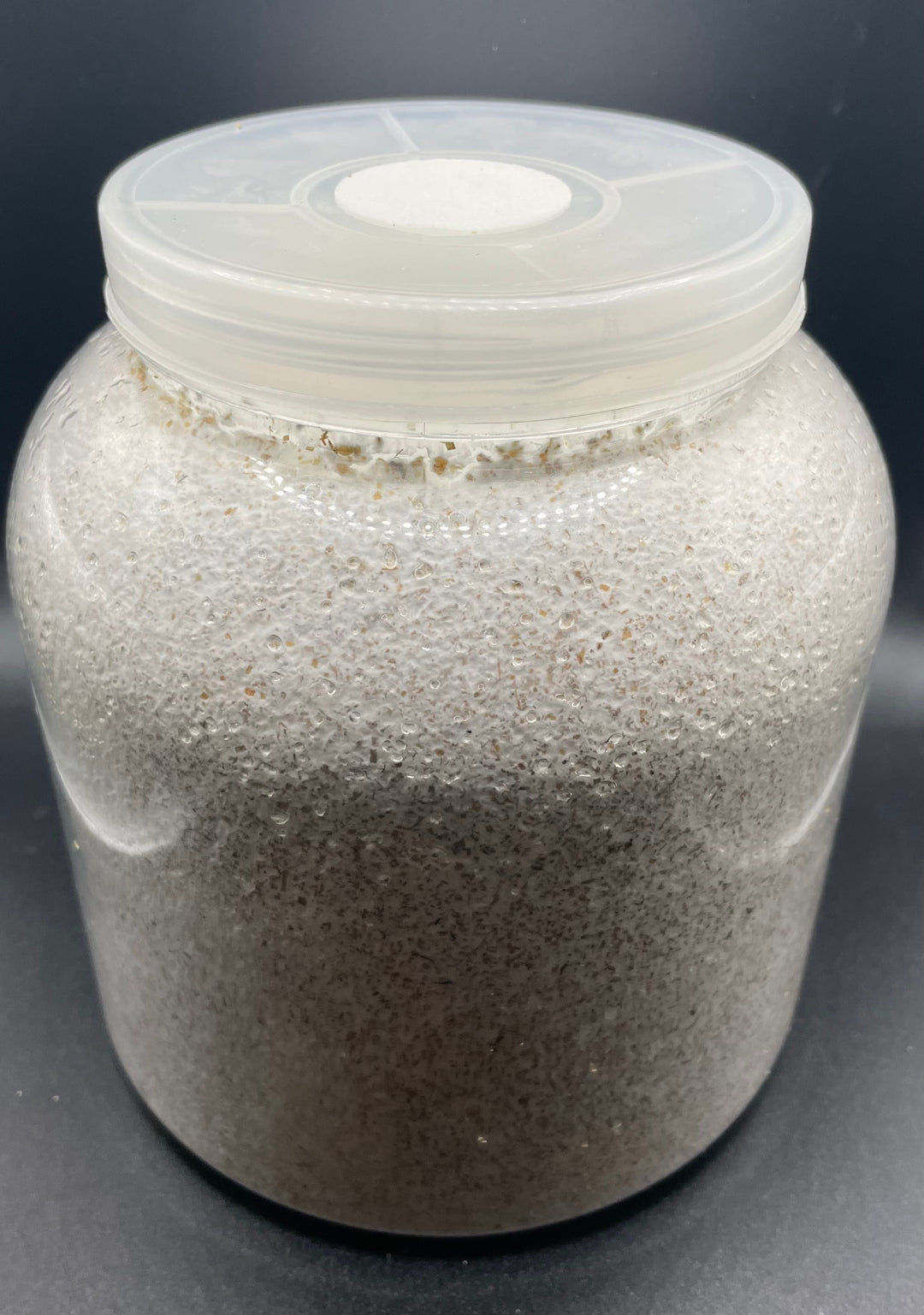 【KPWオリジナル】オオヒラタケ菌糸ボトル 3200cc