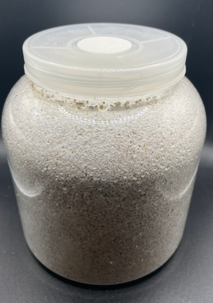 【KPWオリジナル】オオヒラタケ菌糸ボトル 3200cc