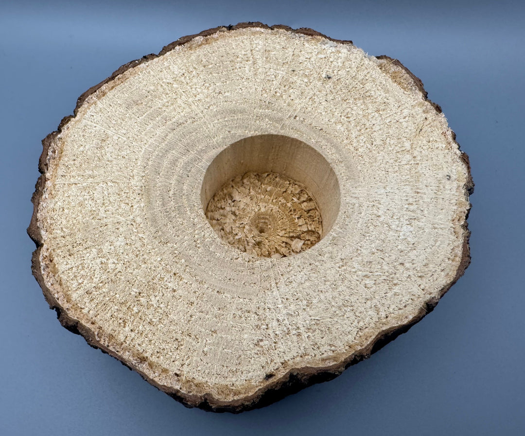 広葉樹エサ皿 18gワイド 1穴