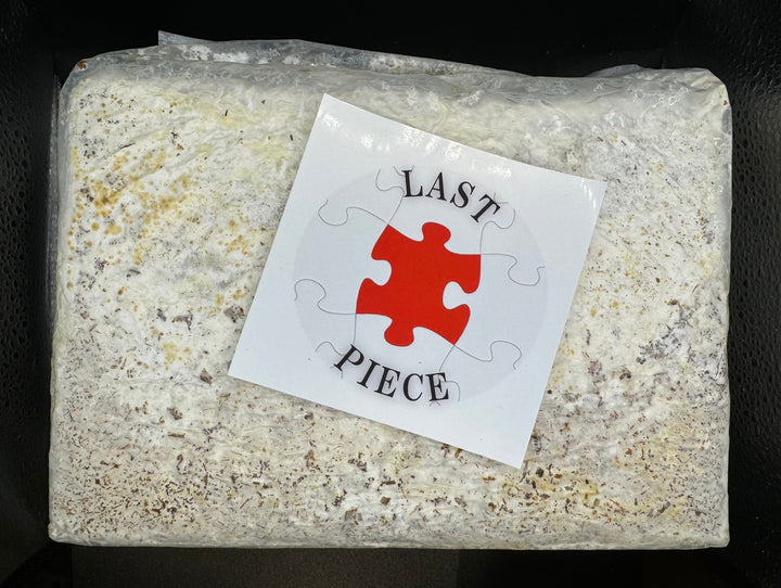 【5袋セット】ファミリア ラストピース ブロック 3500cc