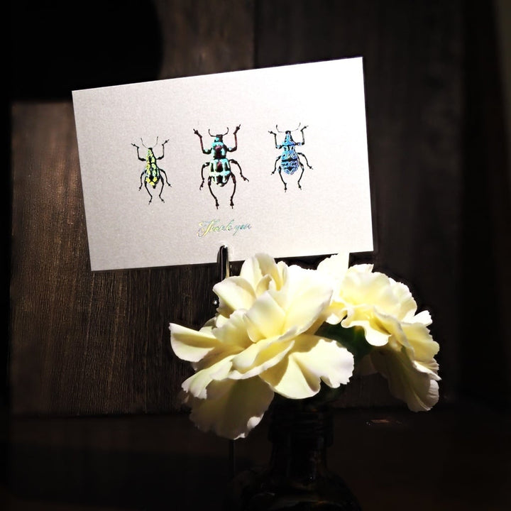 Thank you カード 5枚入り（カタゾウムシ）