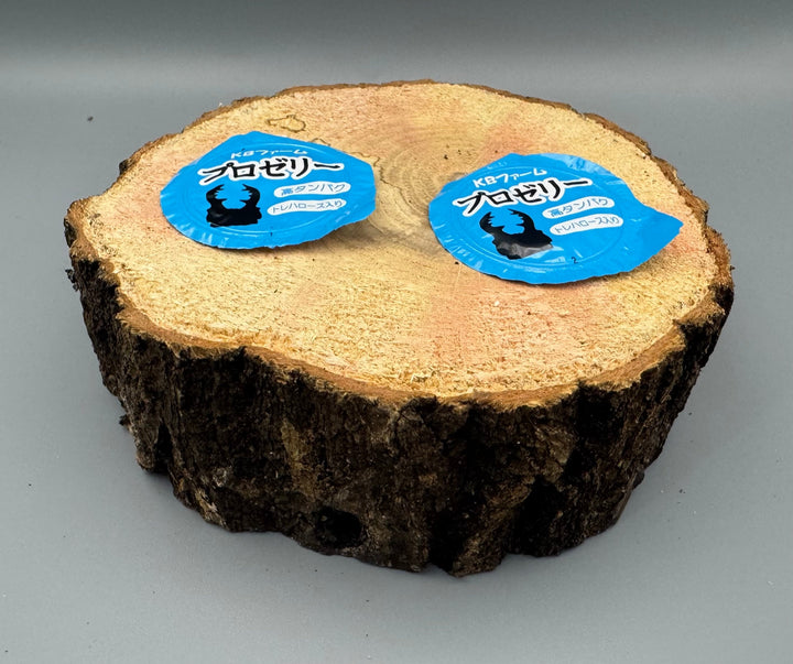 広葉樹エサ皿 16g 2穴