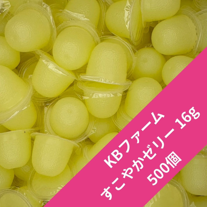 【500個】すこやかゼリー 16g