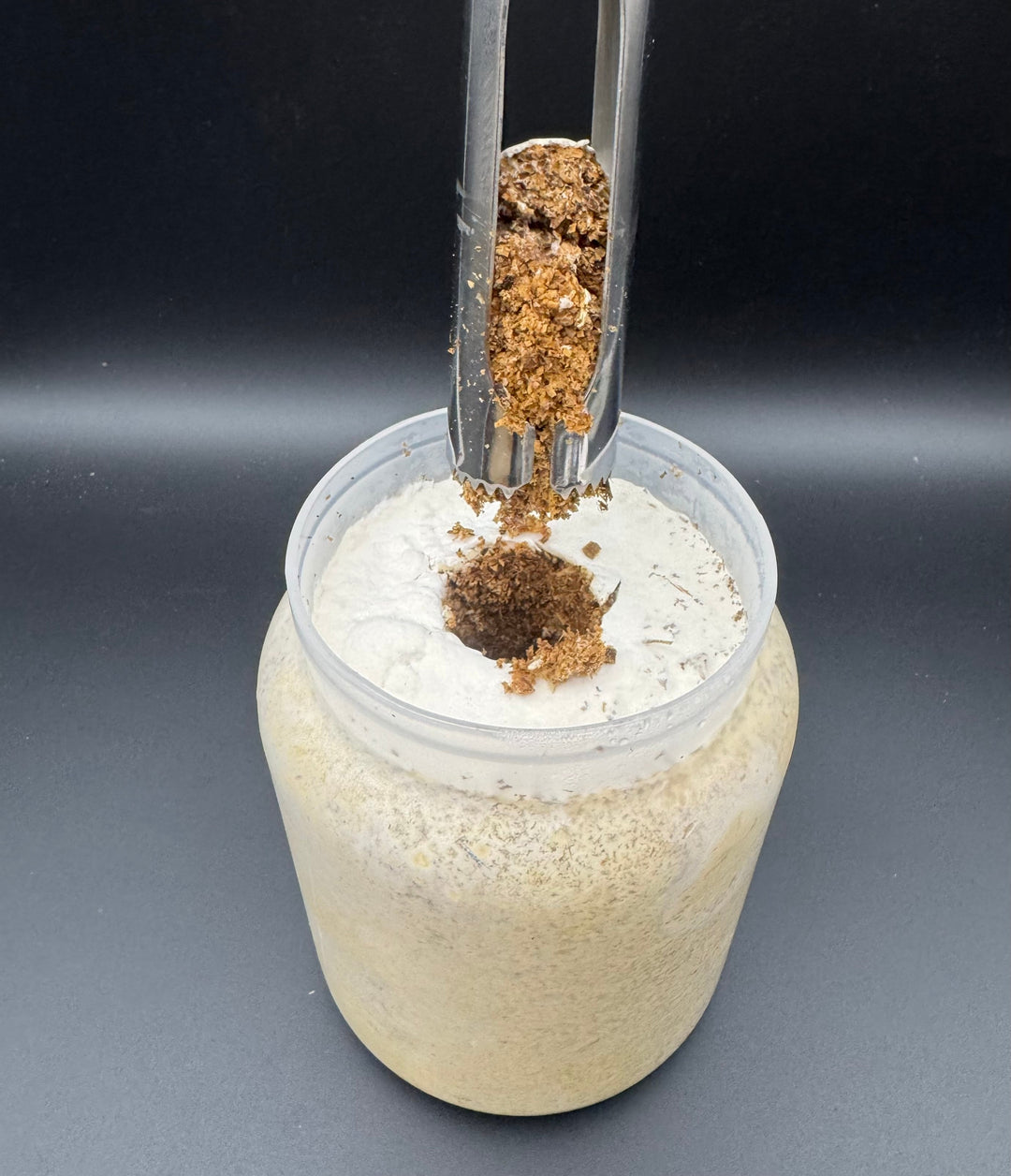 ラクラク穴あけプロ（菌糸抜き専用器具）