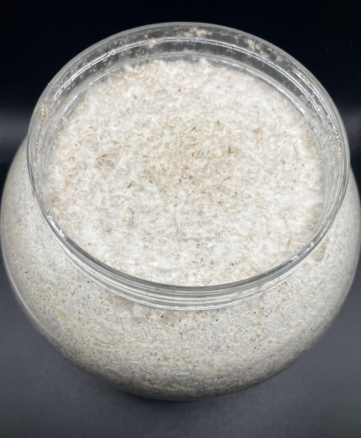 G-ZERO 菌糸ボトル 2300cc