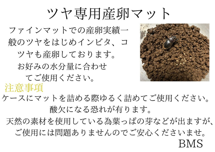 【冷凍処理済み】【ツヤクワガタ専用マット】ファインマット 5L