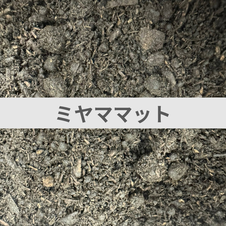 ミヤママット 5L