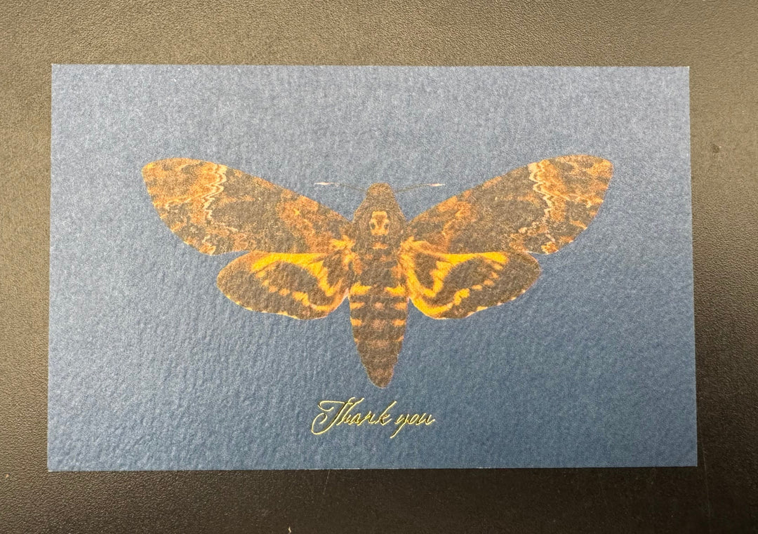 Thank you カード 5枚入り（クロメンガタスズメ）