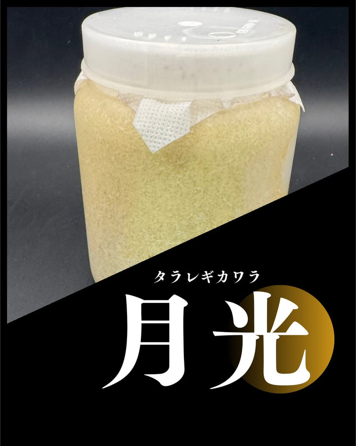 【月光】カワラ菌糸 800cc