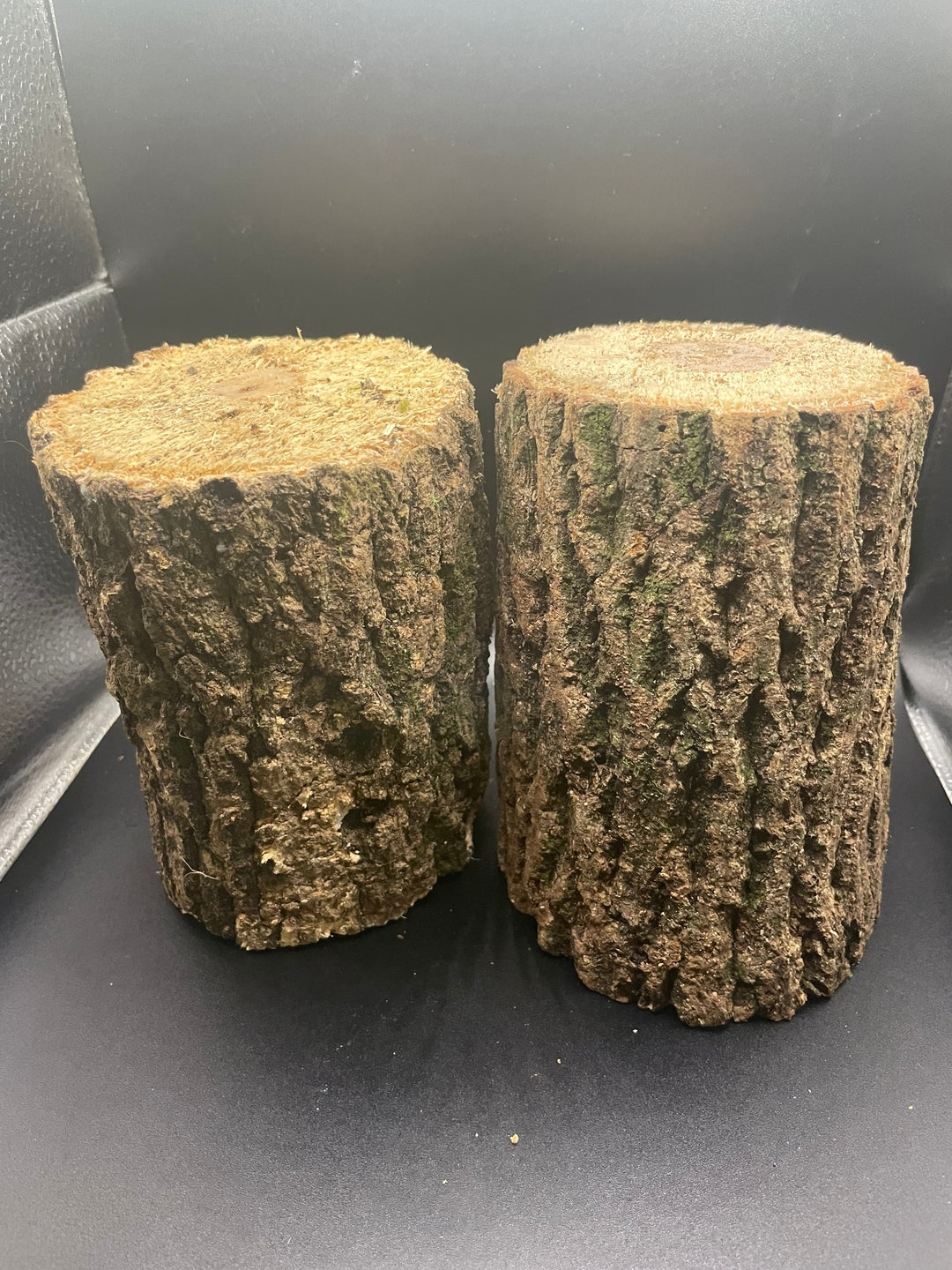 【3年物】産卵木 ミックス 1本