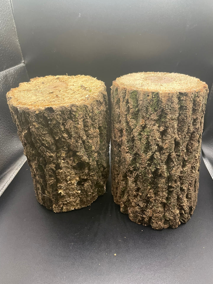 【3年物】産卵木 ミックス 1本