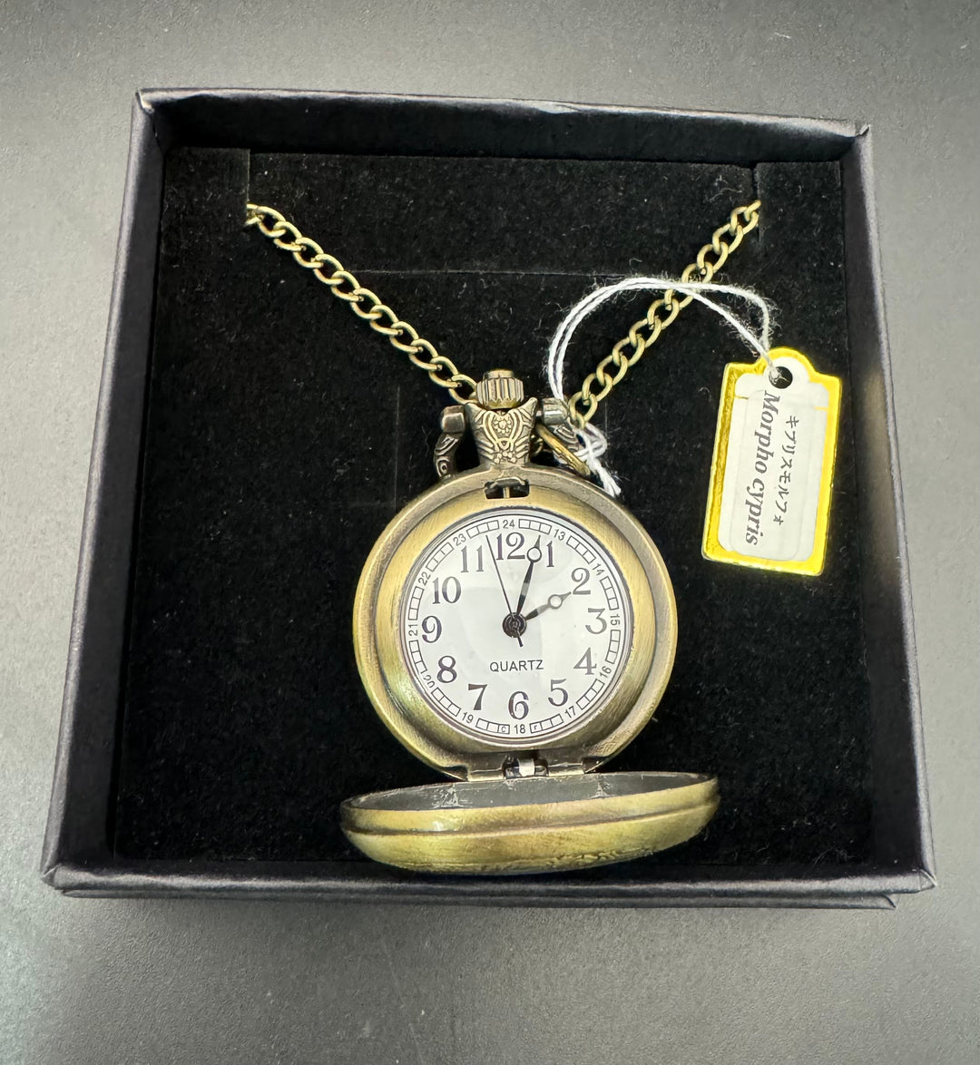 手書き懐中時計（キプリスモルフォ）