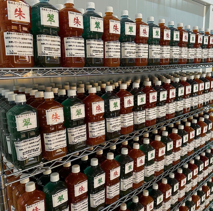 【翠】超濃度バクテリア液 1,000ml