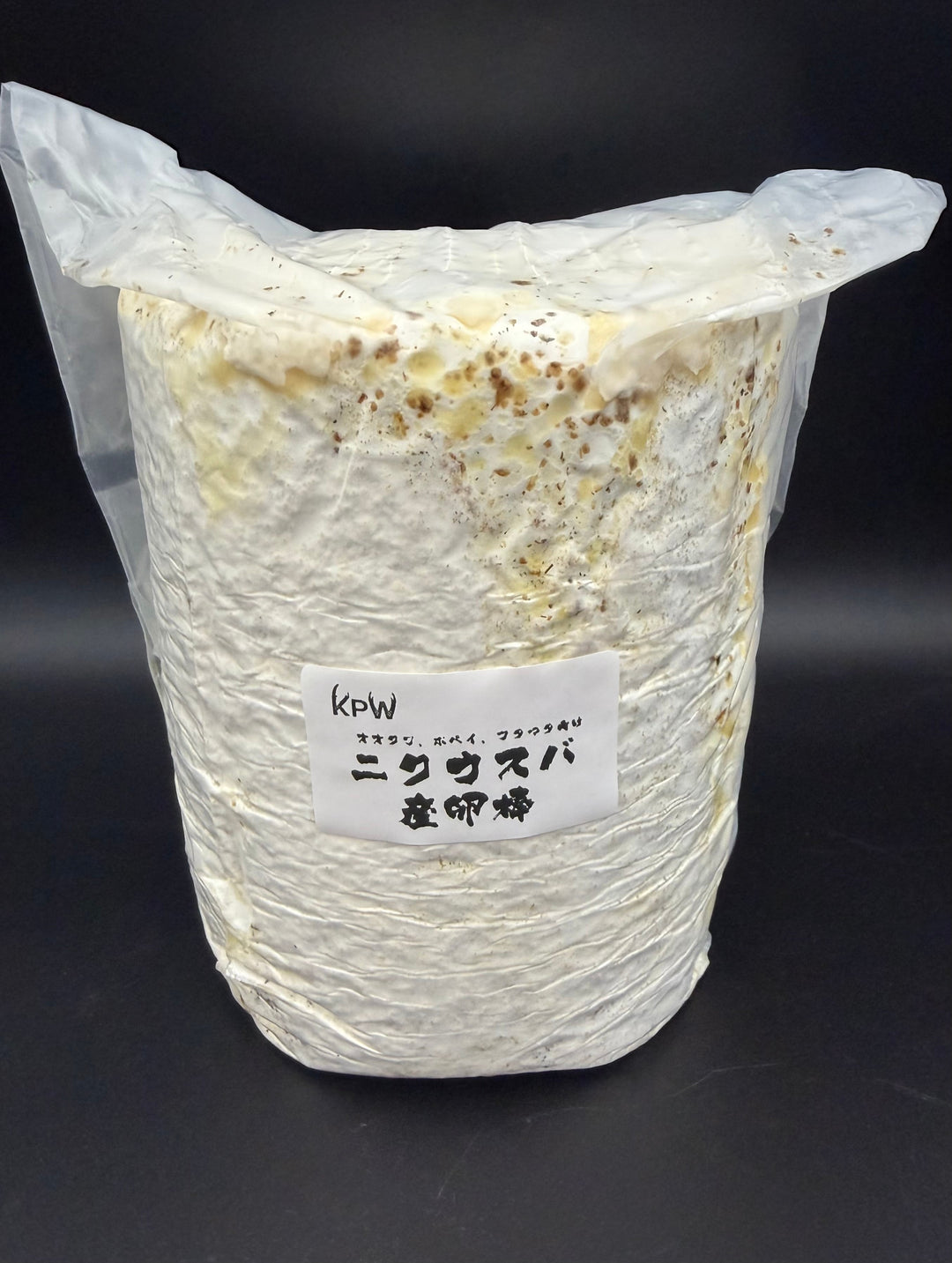 【5本セット】ニクウスバ産卵棒 1本入り