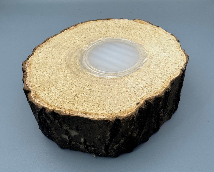 広葉樹エサ皿 18gワイド 1穴