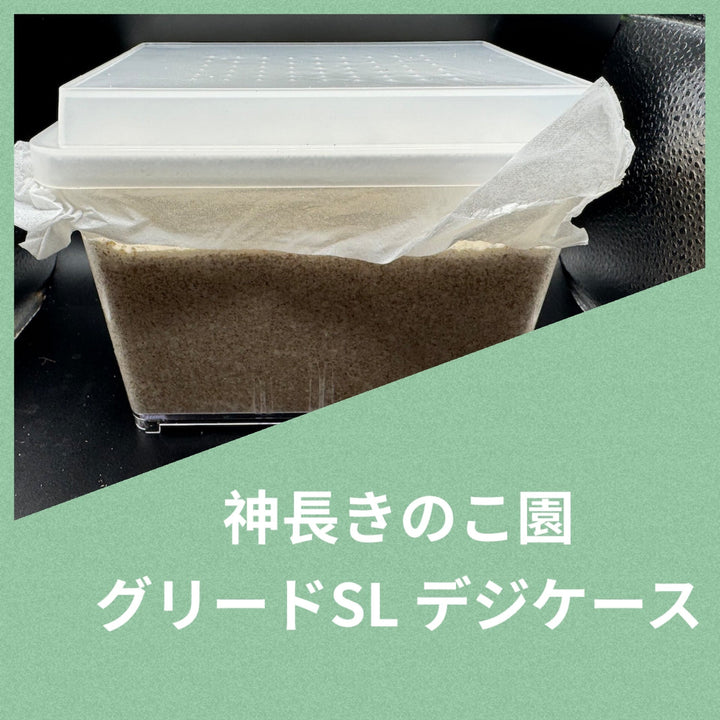 グリードSL（低添加微粒子） 産卵菌床 デジケース