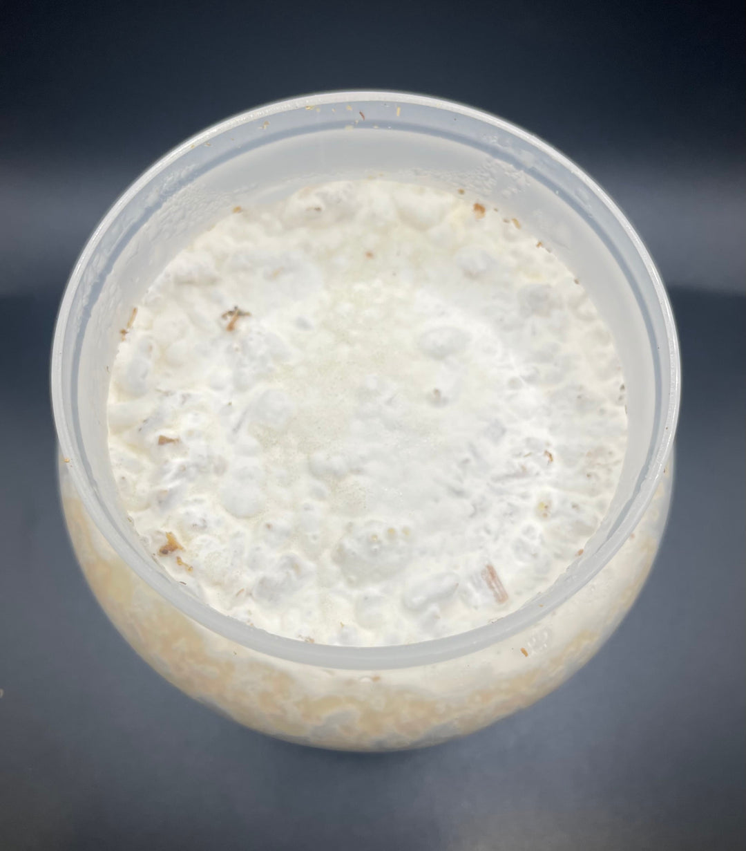 K-ZERO カワラ菌糸ボトル800cc