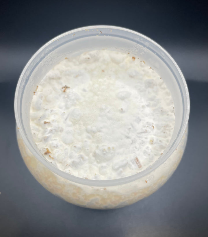 K-ZERO カワラ菌糸ボトル800cc