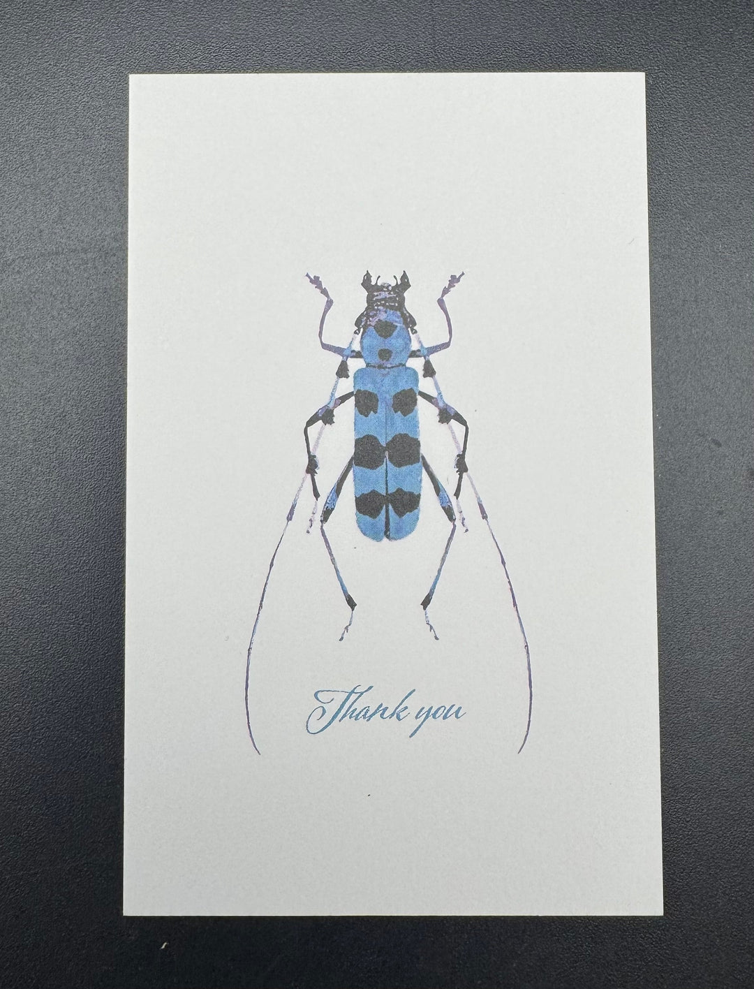 Thank you カード 5枚入り（ルリボシカミキリ）