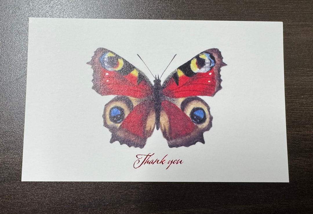 Thank you カード 5枚入り（クジャクチョウ）