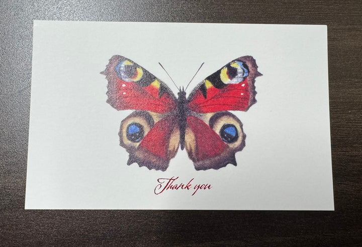 Thank you カード 5枚入り（クジャクチョウ）