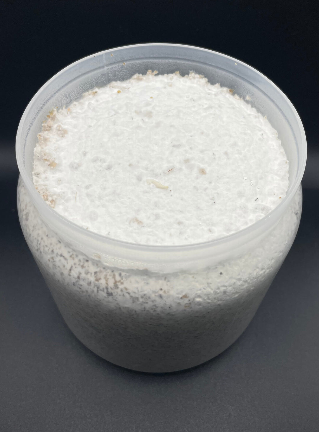 【KPWオリジナル】オオヒラタケ菌糸ボトル 1400cc