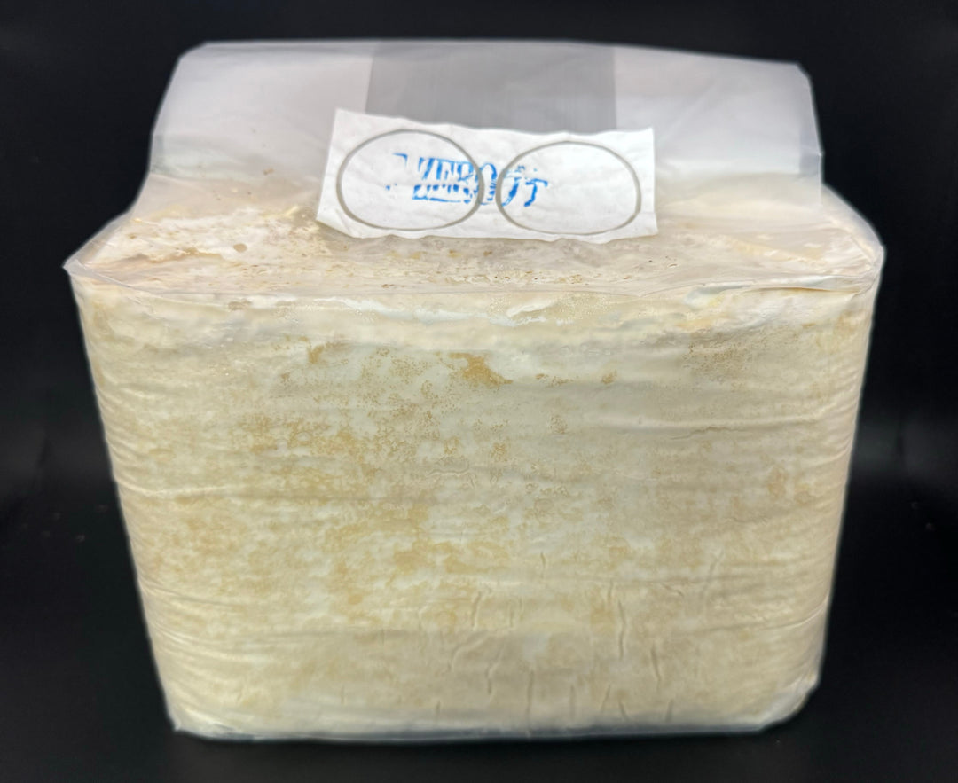 F-ZERO ブロック ブナ100% 3500cc