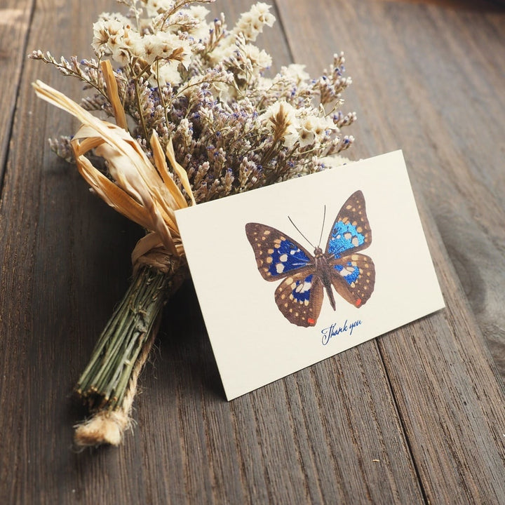 Thank you カード 5枚入り（オオムラサキ）