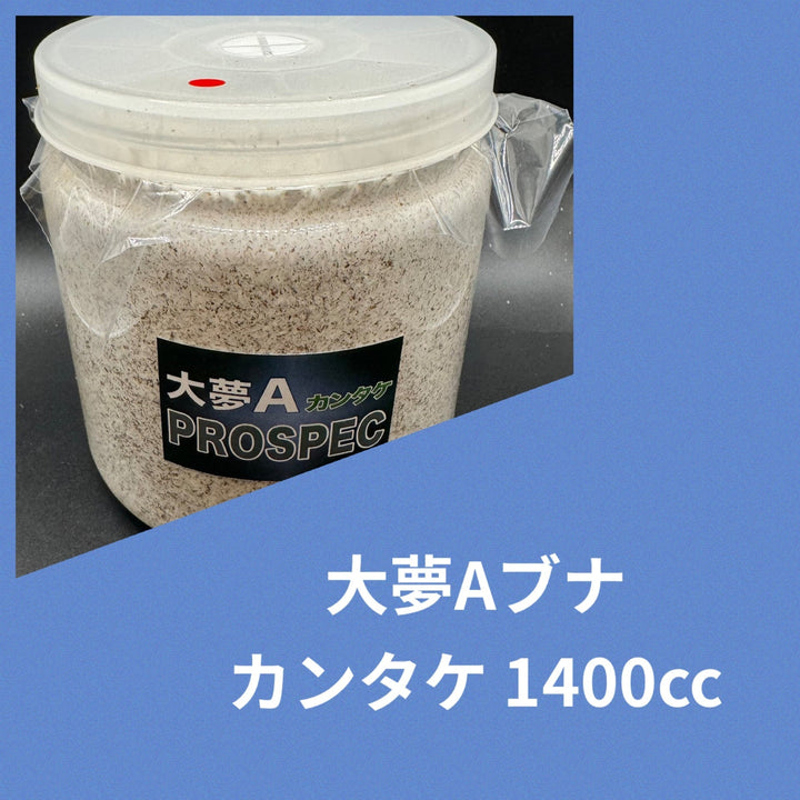 大夢Aブナ カンタケ 1400cc