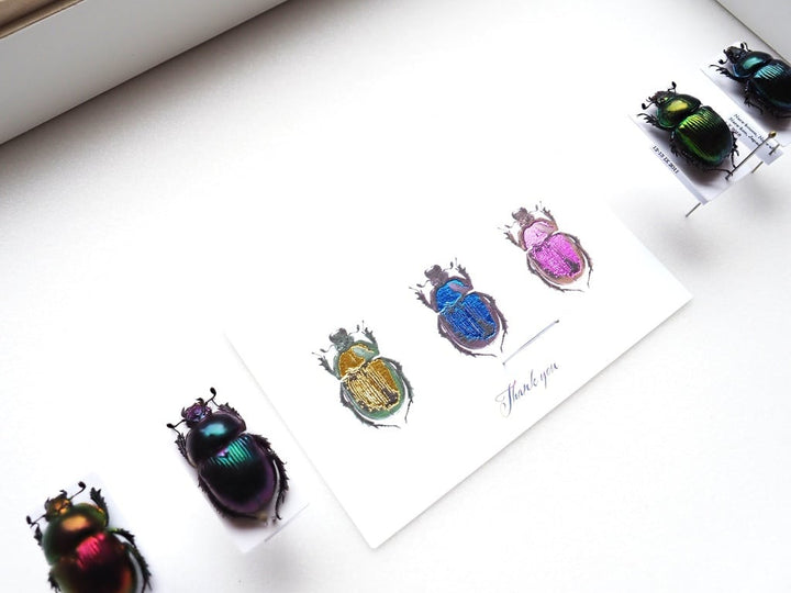 Thank you カード 5枚入り（オオセンチコガネ）