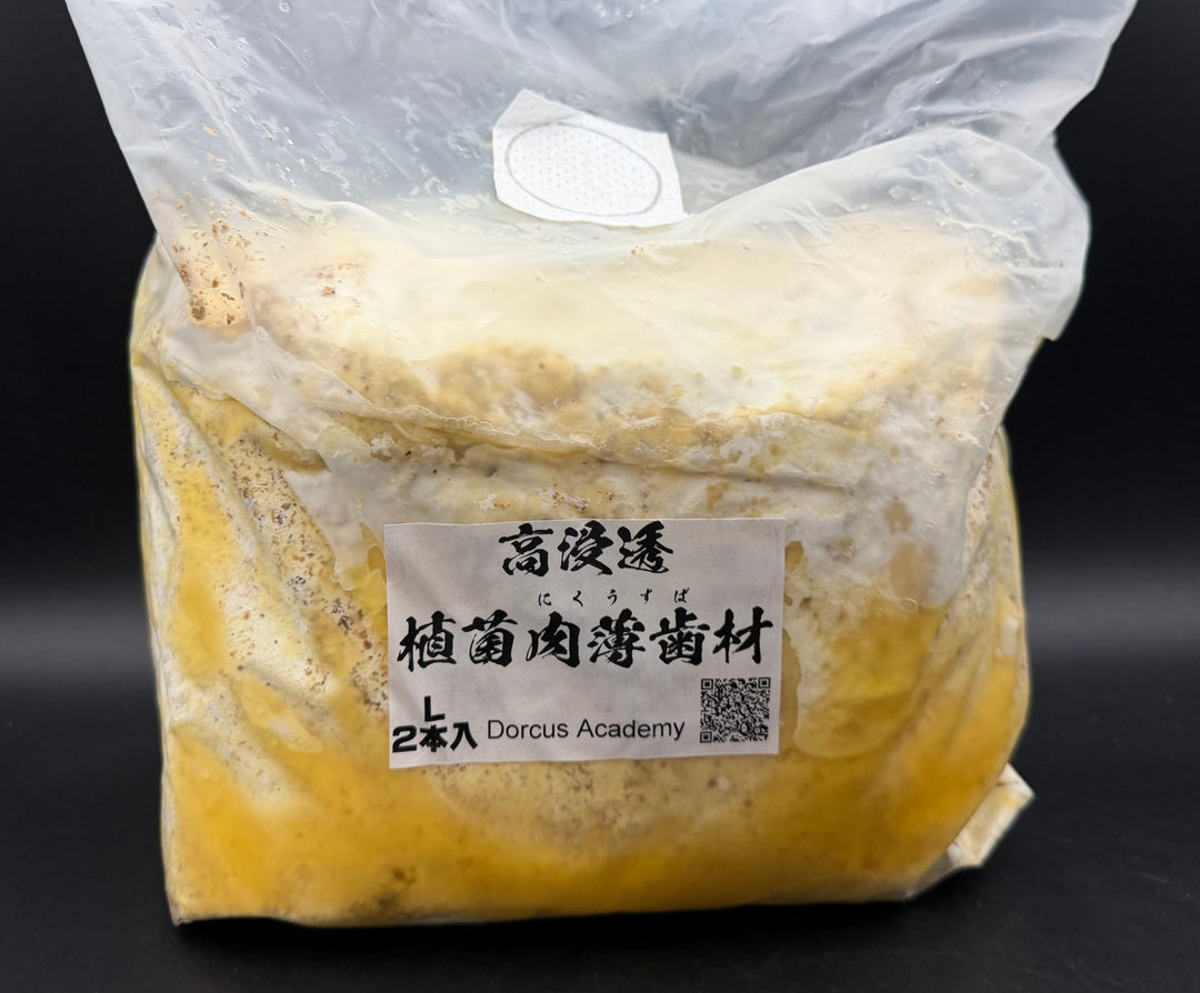 高浸透 植菌肉薄歯材 L材 2本入り