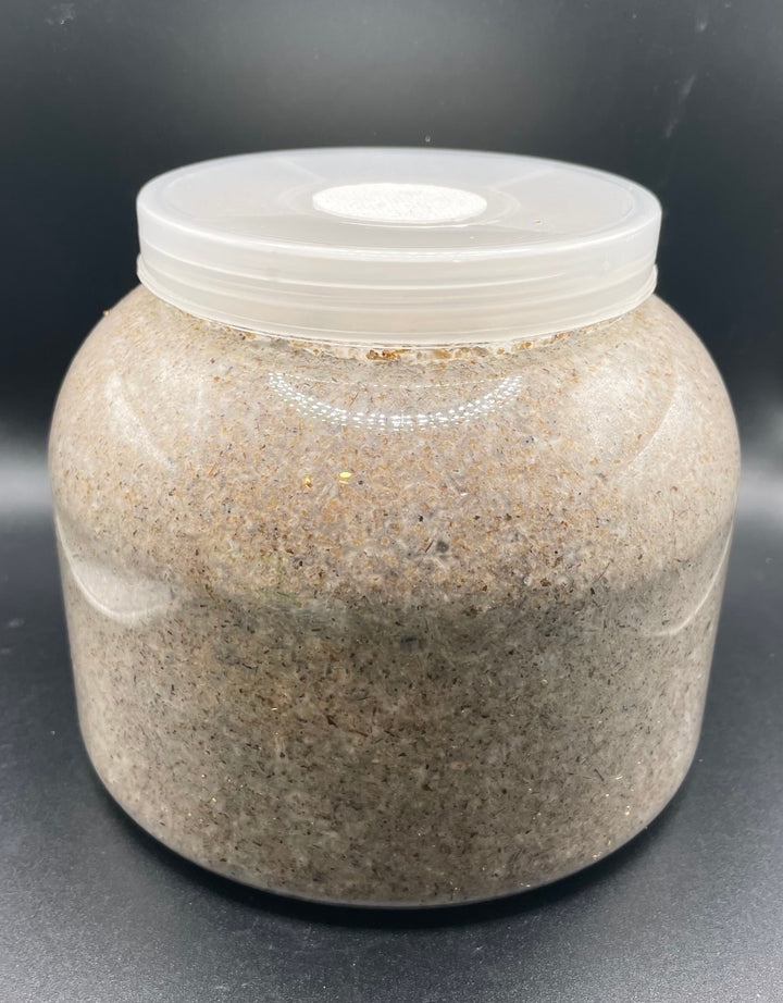 カワラタケ菌糸ボトル2300cc