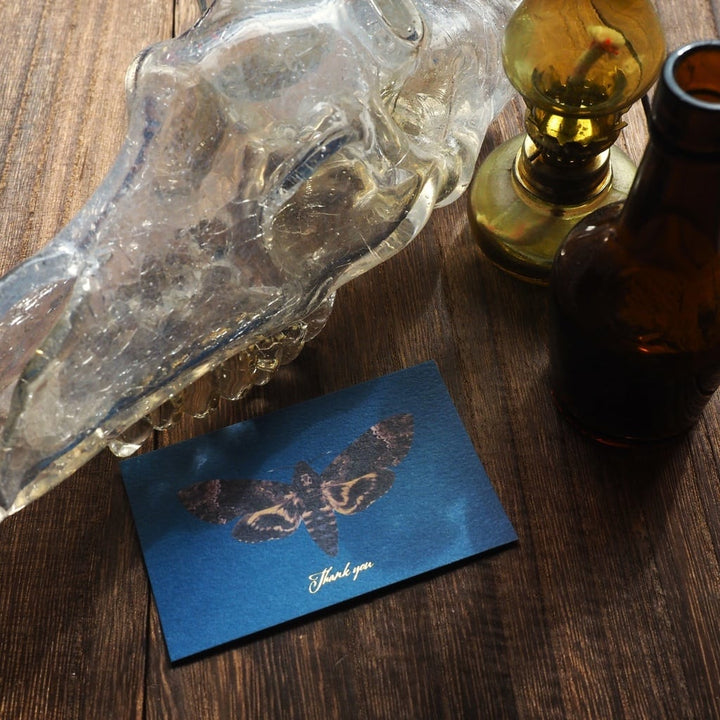 Thank you カード 5枚入り（クロメンガタスズメ）