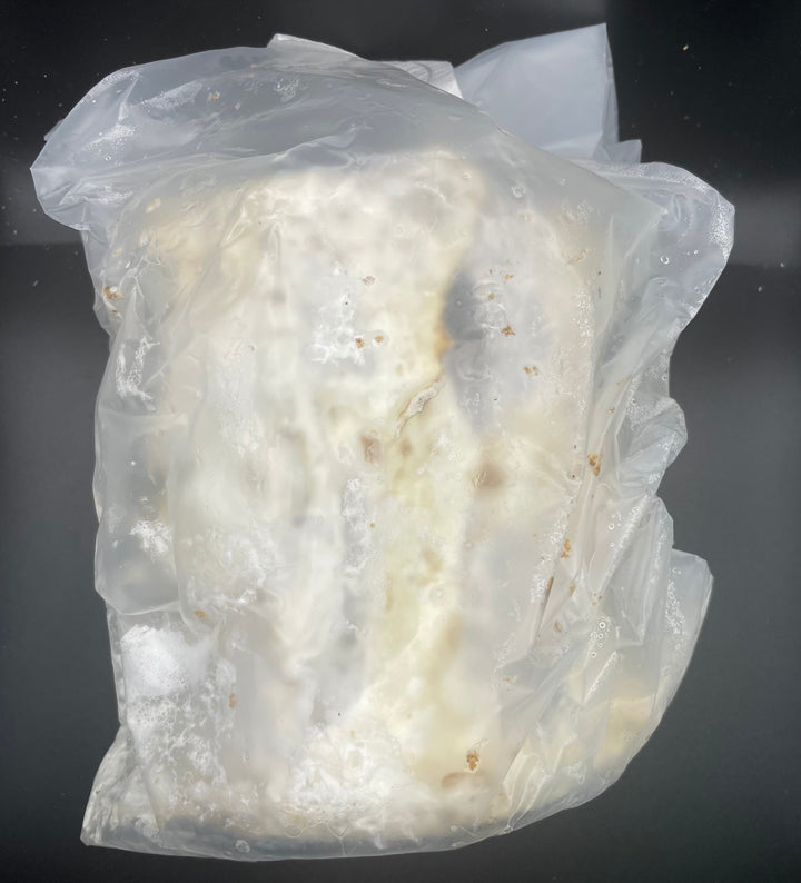 植菌カワラ材 Lサイズ1本入り