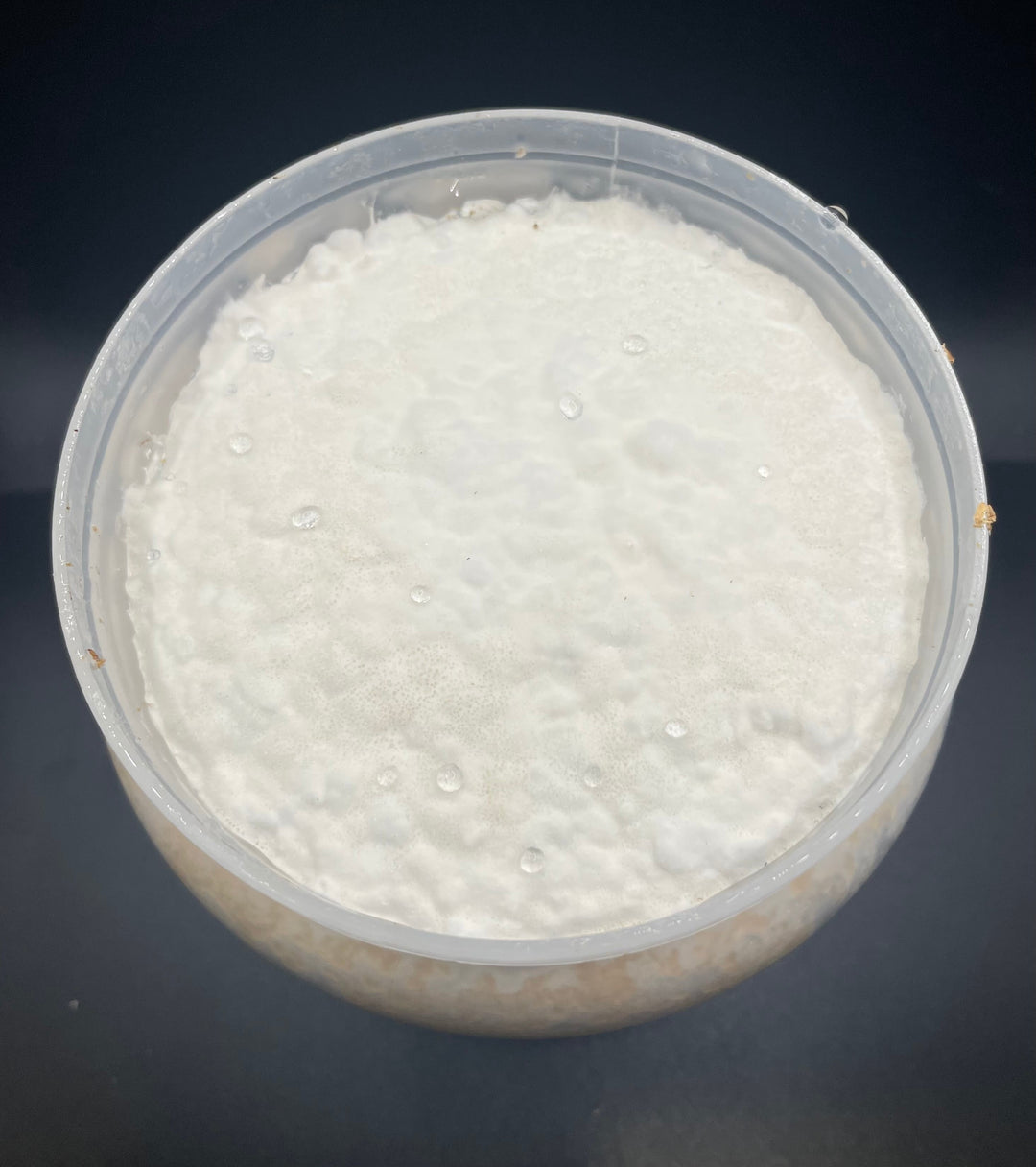 K-ZERO カワラ菌糸ボトル1400cc