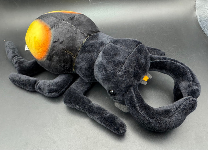 わくわく図鑑 パリーフタマタぬいぐるみ中