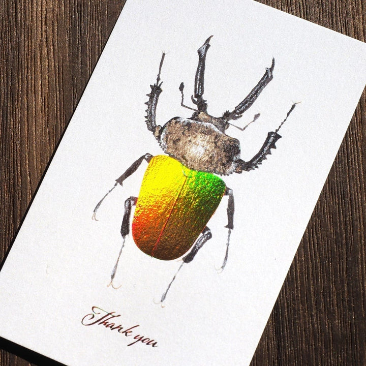 Thank you カード 3枚入り（ニジイロクワガタ）箔押し