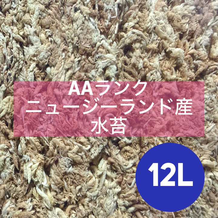 【12L】ニュージーランド産水苔AAランク 150g